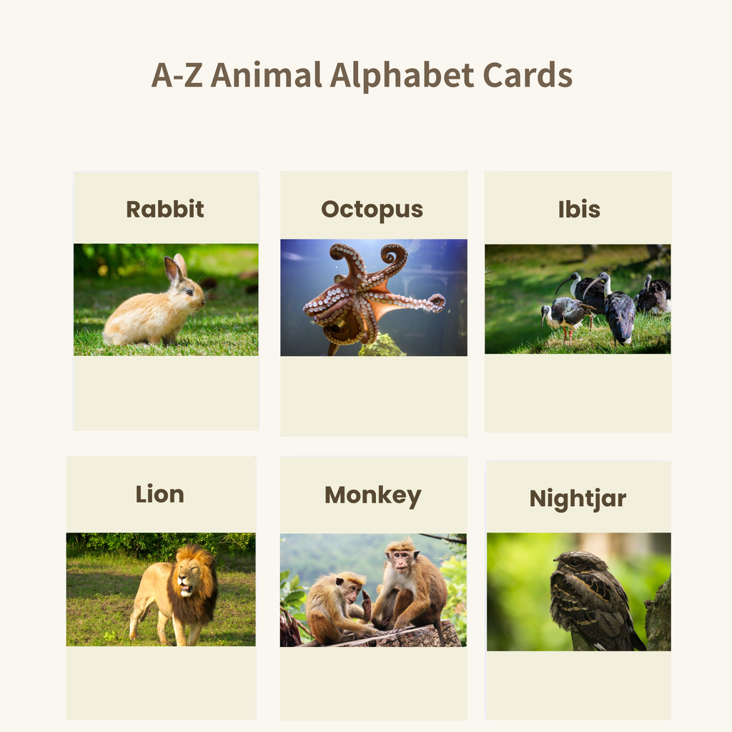 A-Z Animal Alphabet Flash Cards | Printable ABC Learning Cards | 26 Animals | Toddlers & Preschoolers | Instant Download