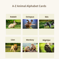 A-Z Animal Alphabet Flash Cards | Printable ABC Learning Cards | 26 Animals | Toddlers & Preschoolers | Instant Download
