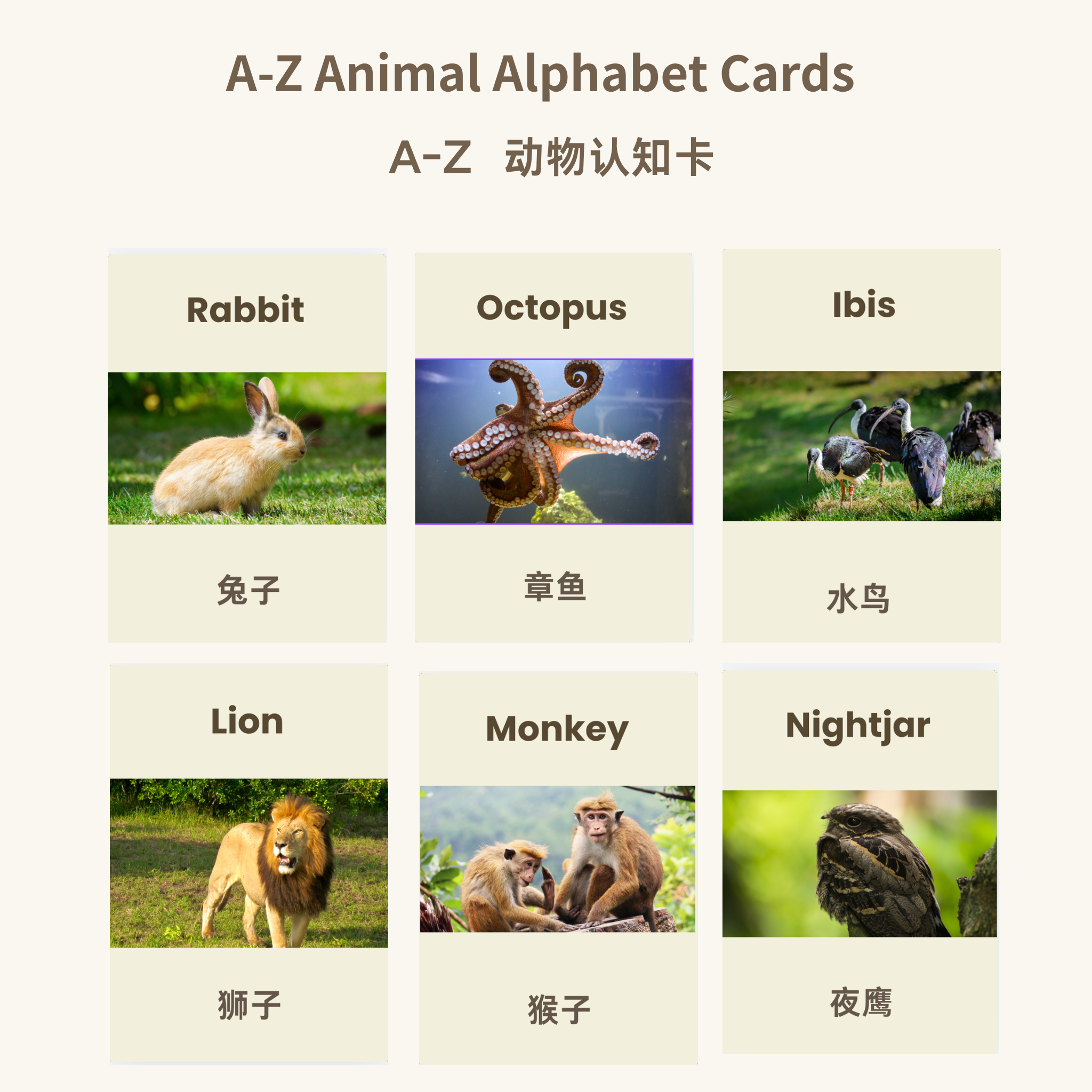 A-Z Animal Alphabet Flash Cards | Bilingual English Chinese | Printable ABC Learning Cards | 26 Animals | Instant Download