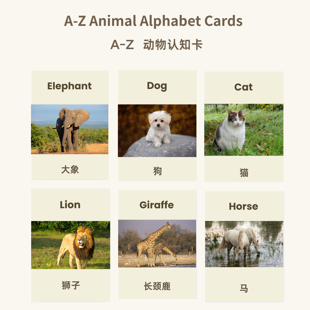A-Z Animal Alphabet Flash Cards | Bilingual English Chinese | Printable ABC Learning Cards | 26 Animals | Instant Download