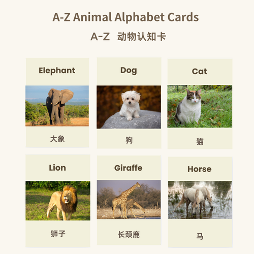 A-Z Animal Alphabet Flash Cards | Bilingual English Chinese | Printable ABC Learning Cards | 26 Animals | Instant Download