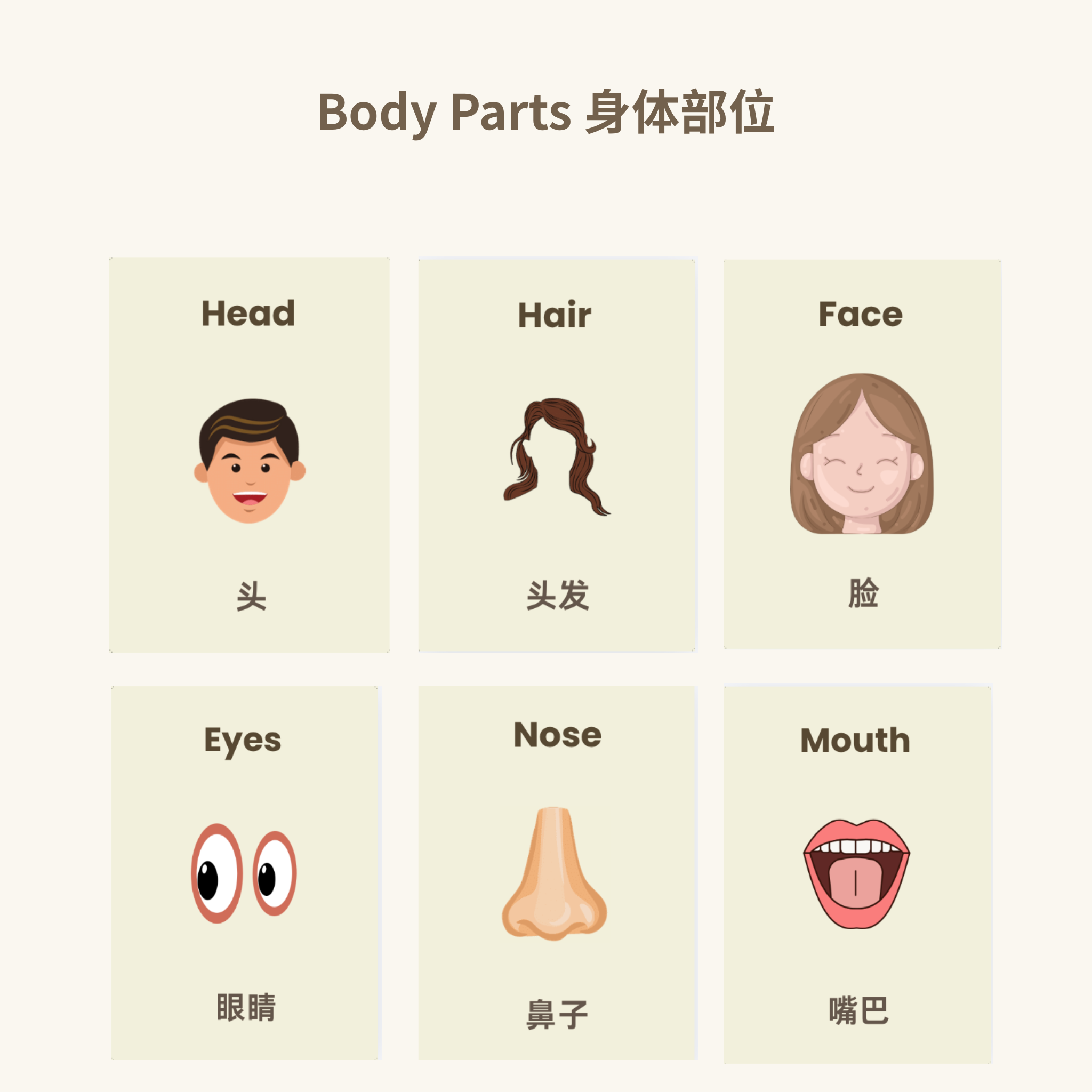 My Body Parts Flash Cards | Bilingual English Chinese | 16 Learning Cards for Toddlers | Printable A4 | Instant Download