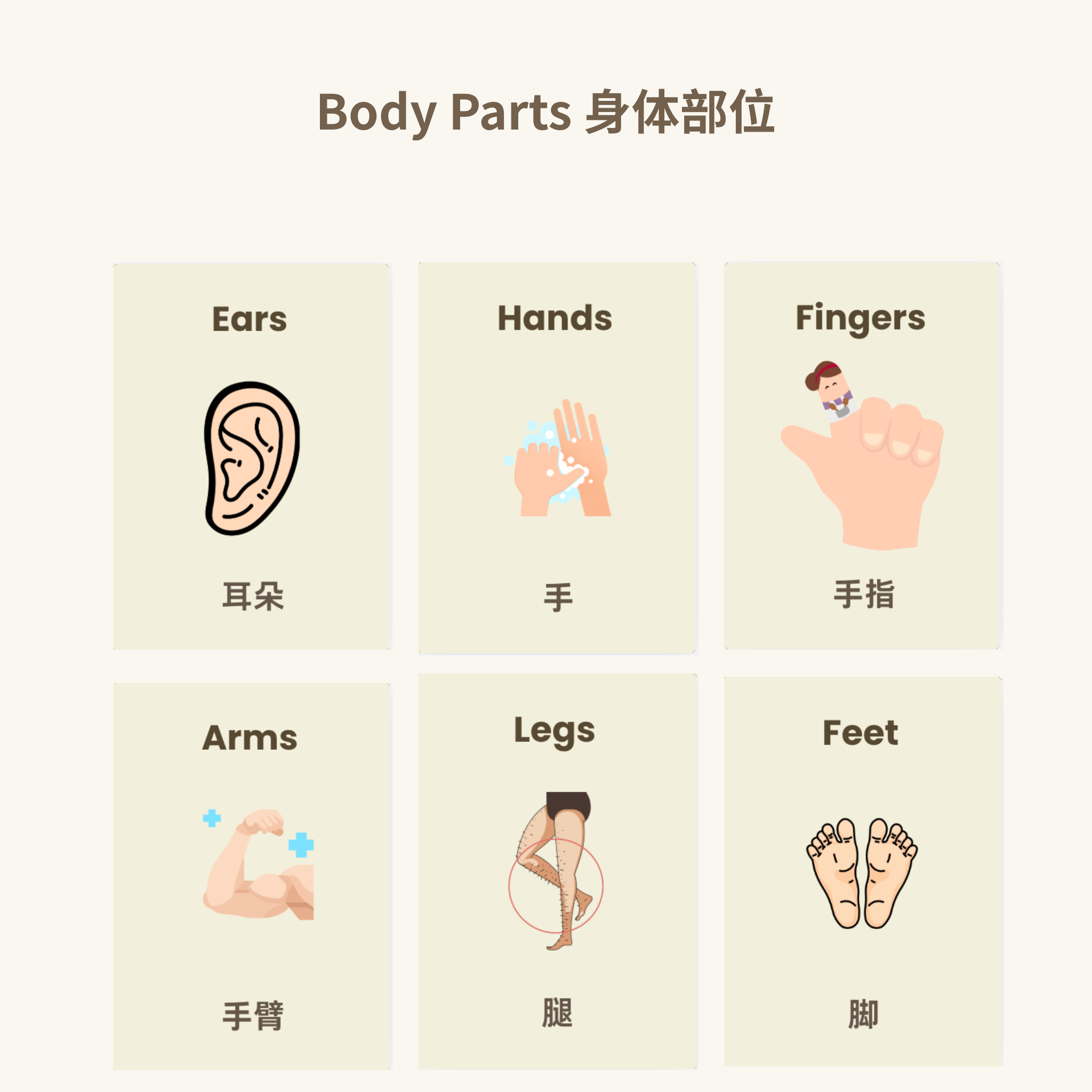 My Body Parts Flash Cards | Bilingual English Chinese | 16 Learning Cards for Toddlers | Printable A4 | Instant Download